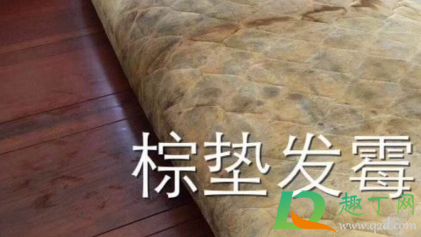 床垫上的霉点用什么东西可以去掉(床垫子上的霉菌怎么去除)