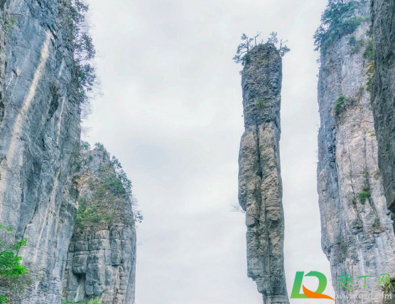 张家界与恩施大峡谷哪个适合国庆去(恩施大峡谷和张家界大峡谷是一个地方吗) 张家界与恩施大峡谷哪个适合国庆去(恩施大峡谷和张家界大峡谷是一个地方吗)