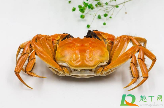 蒸螃蟹紫苏包和生姜能同时放吗(紫苏包可以和螃蟹一起煮吗)