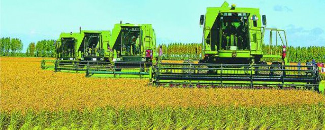 农业产业科技的特征详述(农业主要特征)