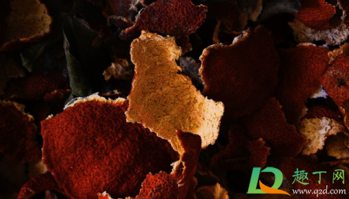 橘子皮长毛了还能吃不(橘子皮长绿毛还能吃吗)