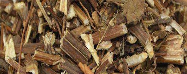 溪黄草的功效与作用简述(溪黄草的功效与作用,溪黄草的副作用)