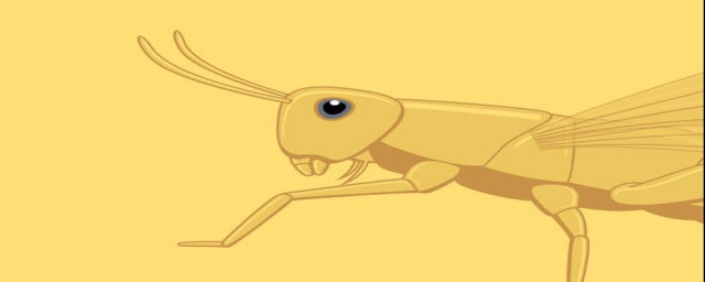 古代预防蝗灾方法(古代治理蝗虫的有效措施)