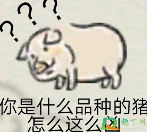 笑yue是什么意思网络用语(什么是笑yue了)