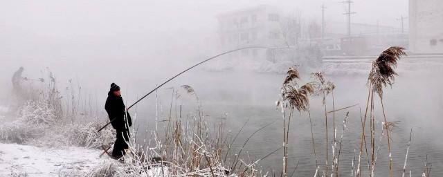 钓鱼的注意事项(钓鱼的正确步骤)