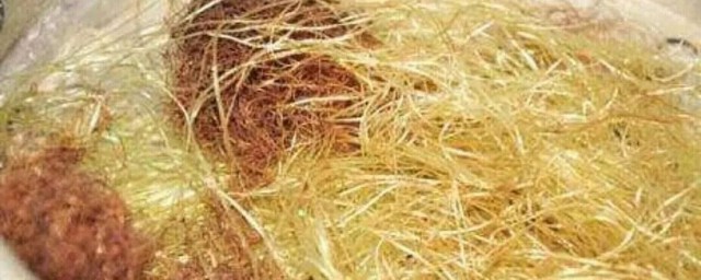 注意这4类人不宜(什么样的人群不宜)