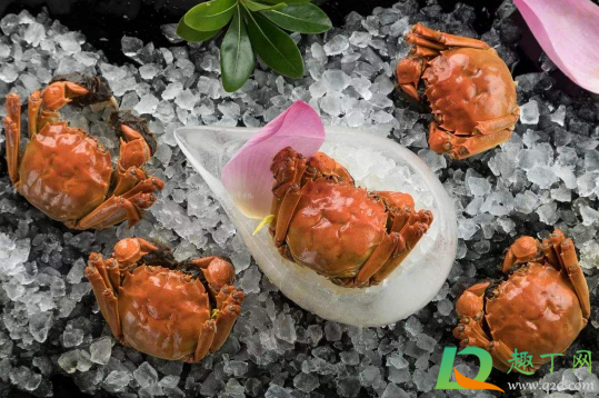 蒸螃蟹用干的紫苏叶还是湿的(紫苏叶和螃蟹一起蒸,是放水中吗)