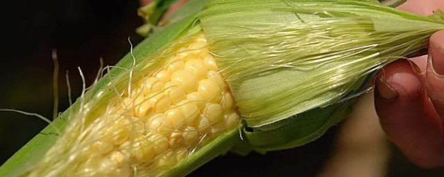 不正确饮用的情况下可出现的危害(长期饮用功能性饮料有什么危害)