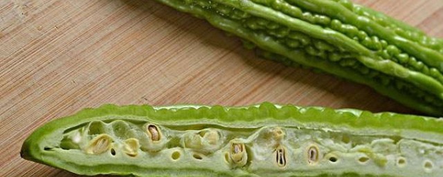 苦瓜属于凉性食物(苦瓜是凉性食物)
