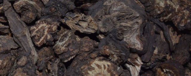 食用羌活的注意事项(羌活的功效与作用禁忌症)