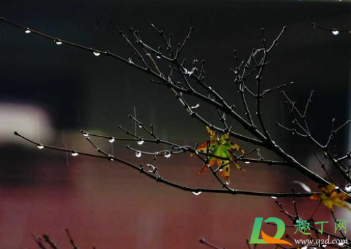 秋天雨水多冬天会更冷吗(夏天雨水多冬天是不是会很冷) 秋天雨水多冬天会更冷吗(夏天雨水多冬天是不是会很冷)