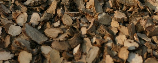 石菖蒲的好处有哪些(石菖蒲的功效与作用点)