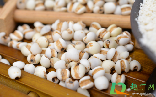 薏米怎么吃最除湿(薏米怎么吃最除湿减肥能吃红豆么)