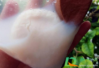 卸妆水能不能洗粉扑(擦粉需要用卸妆水吗) 卸妆水能不能洗粉扑(擦粉需要用卸妆水吗)