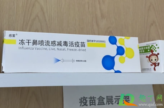 鼻喷流感疫苗和四价流感疫苗哪个好(鼻喷流感疫苗和四价流感疫苗怎么选)