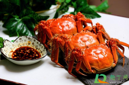 螃蟹蘸料要放盐吗(吃螃蟹如何调制蘸料) 螃蟹蘸料要放盐吗(吃螃蟹如何调制蘸料)