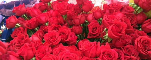 这几样送给需要的你(给你需要的就是最好的)