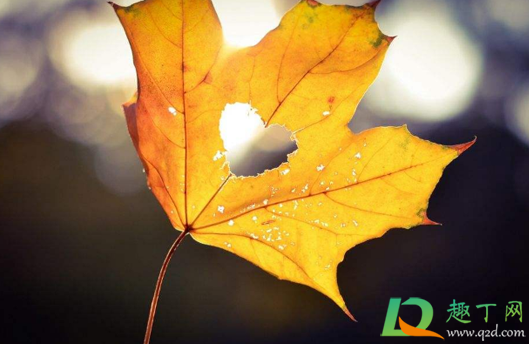 2020年秋天会干旱吗 2020年秋天会干旱吗