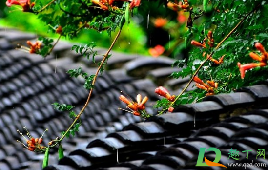 2020年秋天一直下雨吗(2020年中秋下雨了吗)