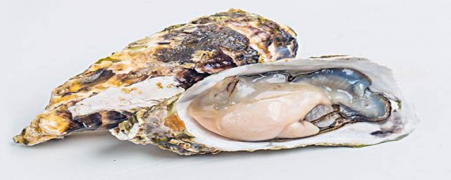 用小刀撬生蚝是开生蚝壳最快的(撬生蚝的刀具)