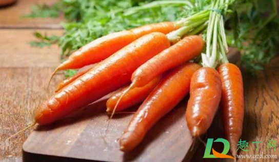 胡萝卜冬天可以种植吗(胡萝卜可以直接种植吗)