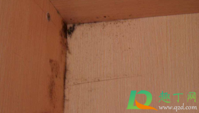 柜子霉点可以擦掉吗(柜子发霉怎么擦)