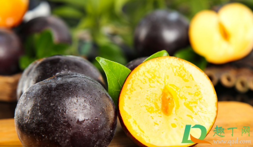 刚吃的李子种能种活吗(现在种李子树能活吗) 刚吃的李子种能种活吗(现在种李子树能活吗)