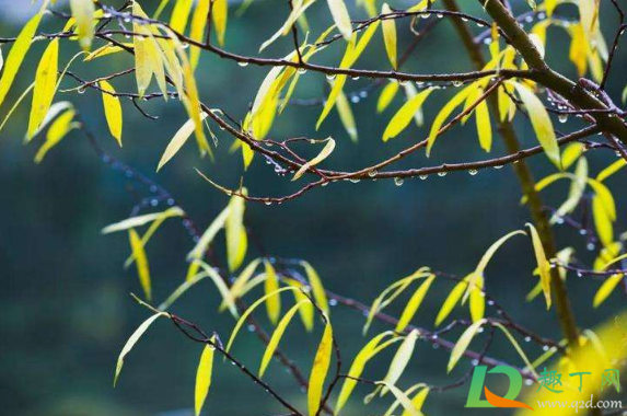 秋天雨水多冬天会更冷吗(夏天雨水多冬天是不是会很冷)