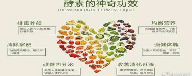 酵素有什么作用(千草素酵素有什么作用)