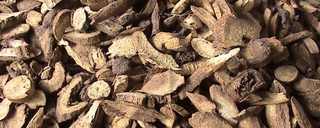 给你5个介绍(你给我介绍几种)