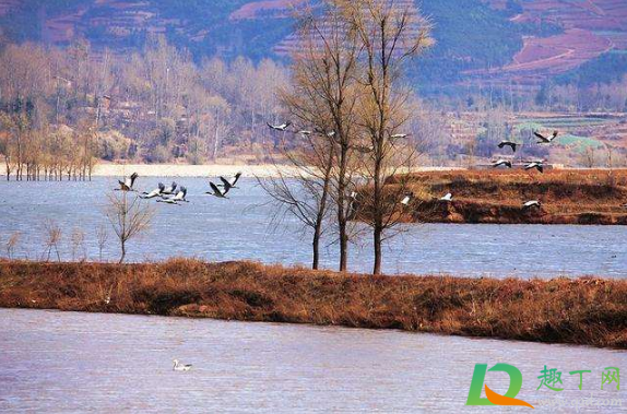 2020年秋天和冬天还会停学吗(2020年学校冬天会放假早吗)