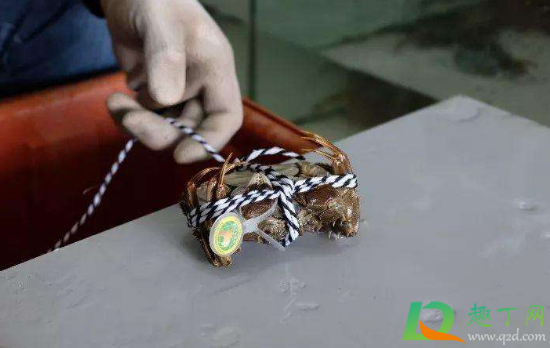 螃蟹绳子不解开可以洗吗(洗螃蟹时绳子要解开吗)