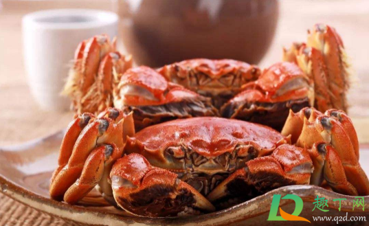 螃蟹不捆起来蒸爪子会掉吗(螃蟹不绑住可以蒸吗) 螃蟹不捆起来蒸爪子会掉吗(螃蟹不绑住可以蒸吗)