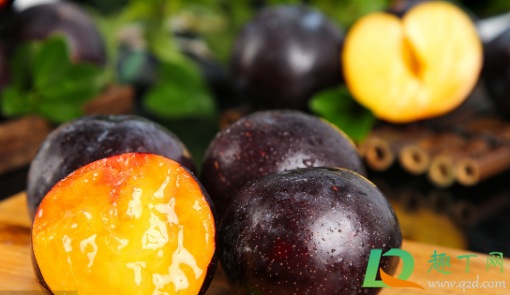 刚吃的李子种能种活吗(现在种李子树能活吗) 刚吃的李子种能种活吗(现在种李子树能活吗)