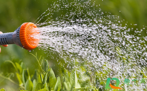 复合肥种菜可以吃吗(复合肥可以种菜吗?)