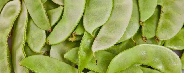 扁豆有什么作用呢(扁豆有啥功效)