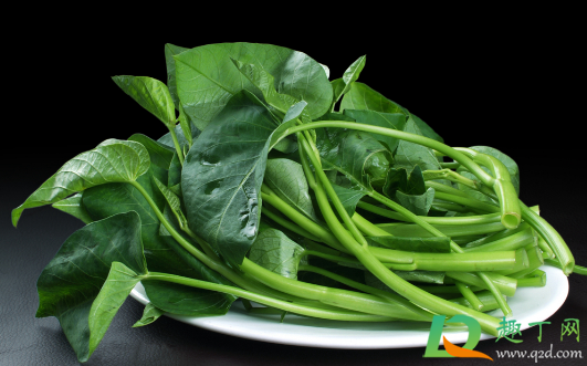 淘米水可以浇空心菜吗(淘米水能浇菜吗淘米水能浇花吗)