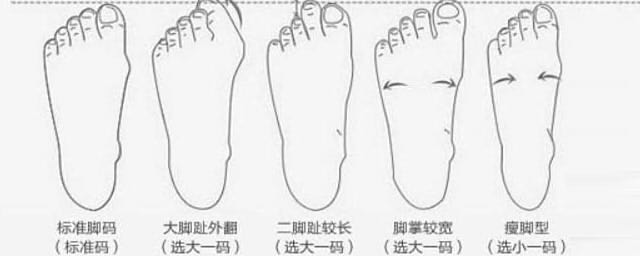 六寸是多少鞋码(六寸六等于多少码的鞋)