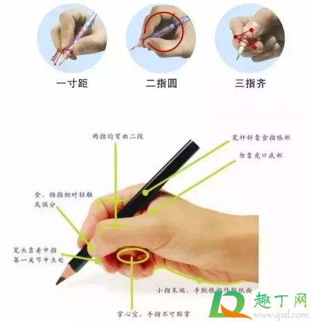 握笔的正确姿势小学生图片(小学生写字握笔姿势 图片大全)