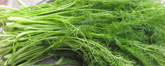 有什么需要注意的(做完针清后有什么需要注意的)