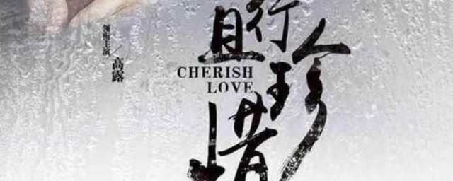 电视剧简介内容(这部电视剧的简介)