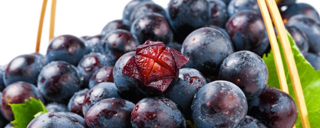 常吃提子好处真不少(吃提子的坏处)