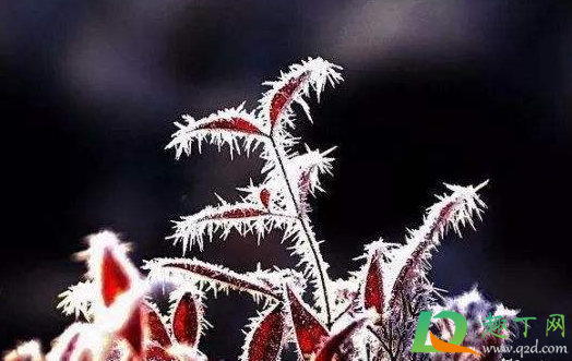 2020年秋天什么时候下霜(今年下霜早吗2020)