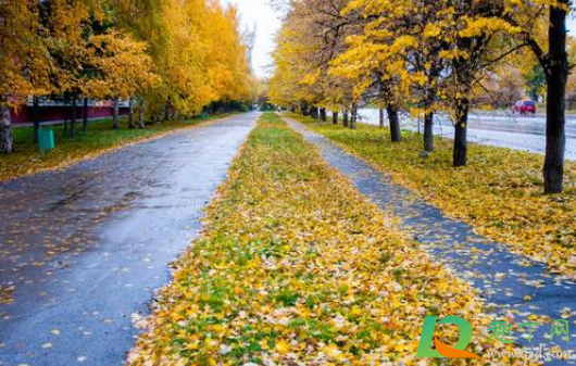 2020年秋天雨水会不会大(明年的雨水大吗) 2020年秋天雨水会不会大(明年的雨水大吗)