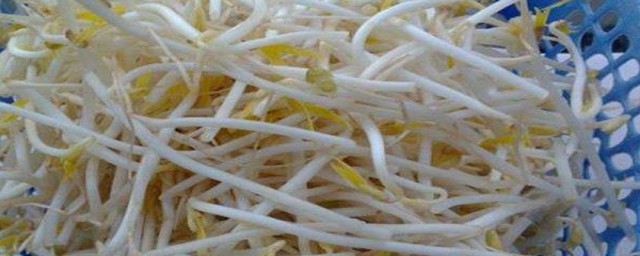 生绿豆芽最快窍门(快速生绿豆芽)