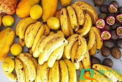 香蕉催熟还是香蕉皮催熟(熟香蕉为什么可以催熟) 香蕉催熟还是香蕉皮催熟(熟香蕉为什么可以催熟)