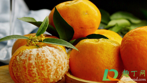 橘子的白丝是什么组织(橘子白丝是啥) 橘子的白丝是什么组织(橘子白丝是啥)