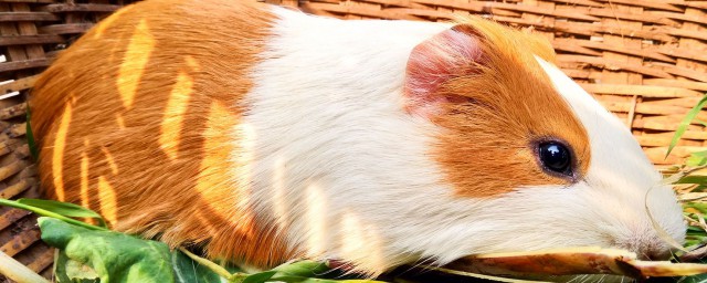 新手的你需要知道这几点(新手应该什么)