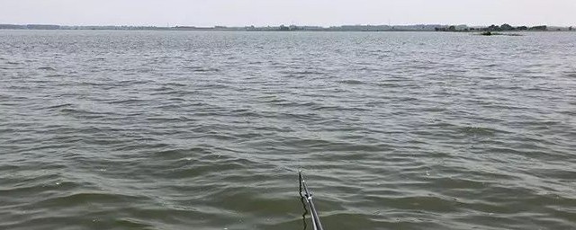 如何用蚯蚓探寻水底情况(蚯蚓怎么找底)