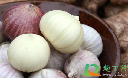大蒜头颜色黄的能不能吃(大蒜颜色发黄 可以吃吗)